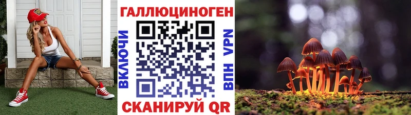 купить наркотик  Ковылкино  Галлюциногенные грибы Cubensis 